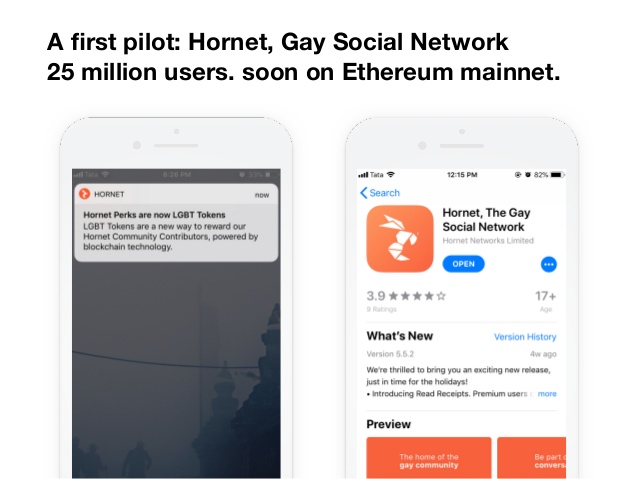 Hornet Gay Social Network